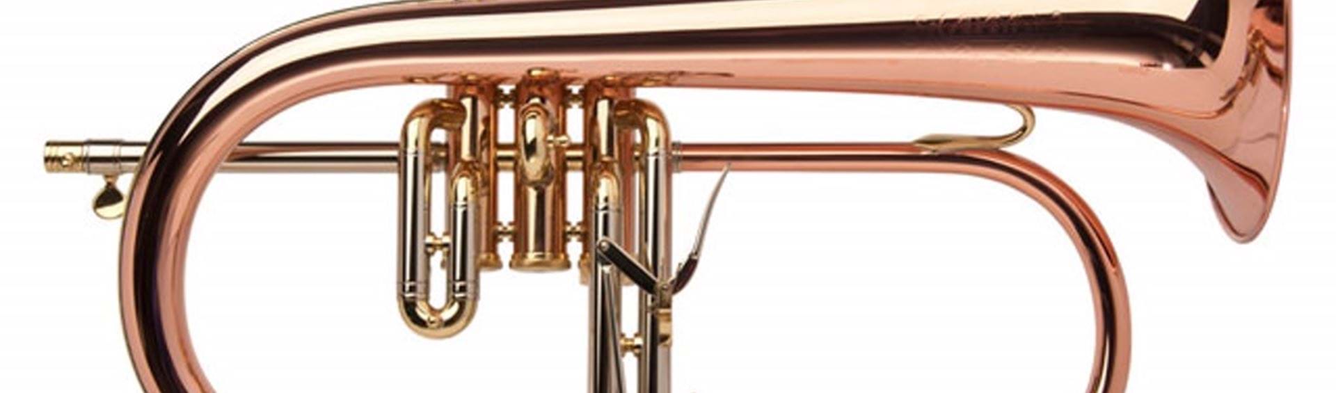 Tur Bugel Bugelles in Amersfoort | Gratis proefles | De Muziekschool | Scholen in ...